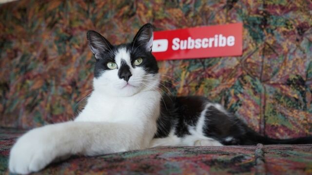 HD порно 134090