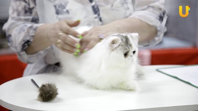 HD порно 192266