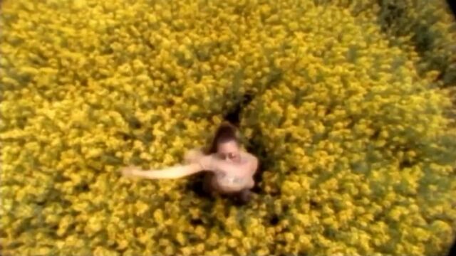 HD порно 176910