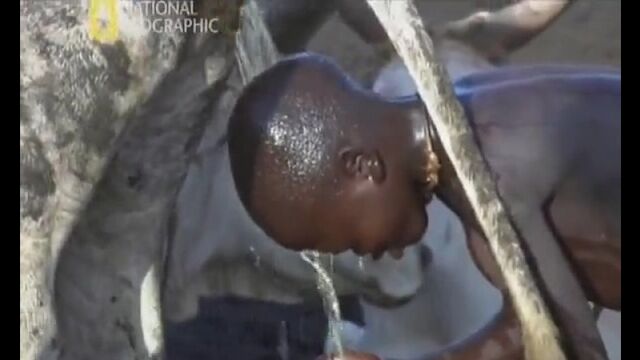 HD порно 161343