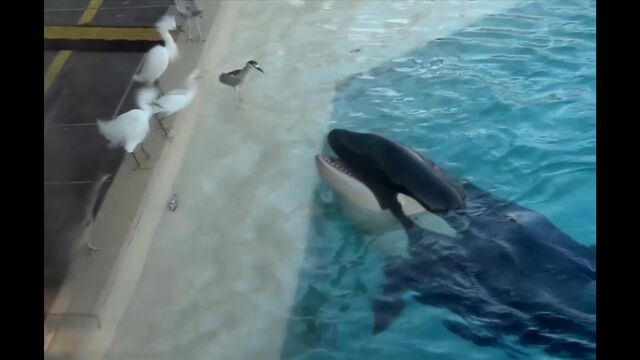 HD порно 105857