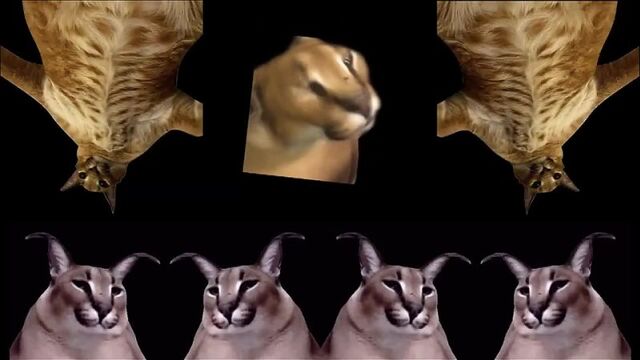 HD порно 161532