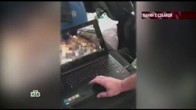 HD порно 189035