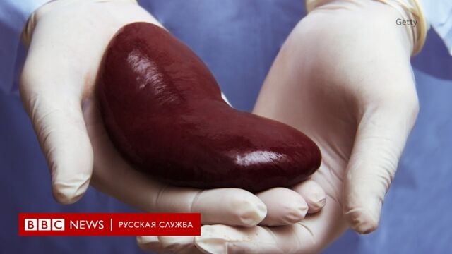 HD порно 153936