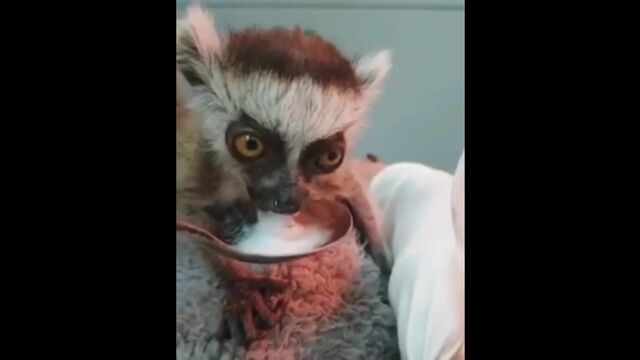 HD порно 174031