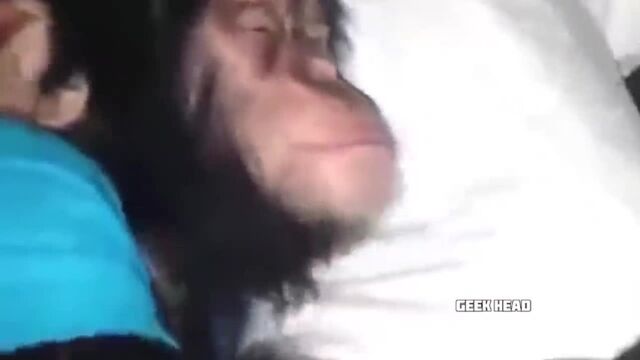 HD порно 124539