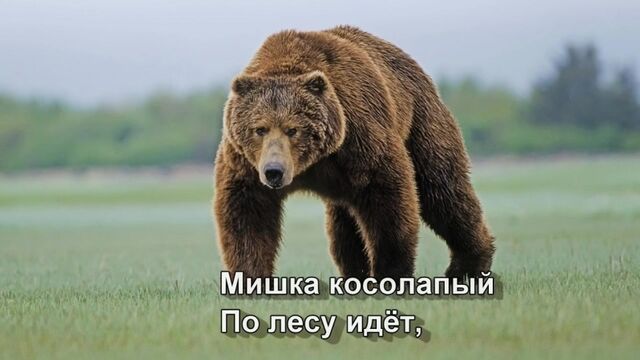 HD порно 123138