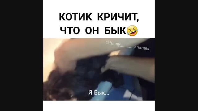 HD порно 166239