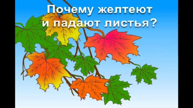 HD порно 158169