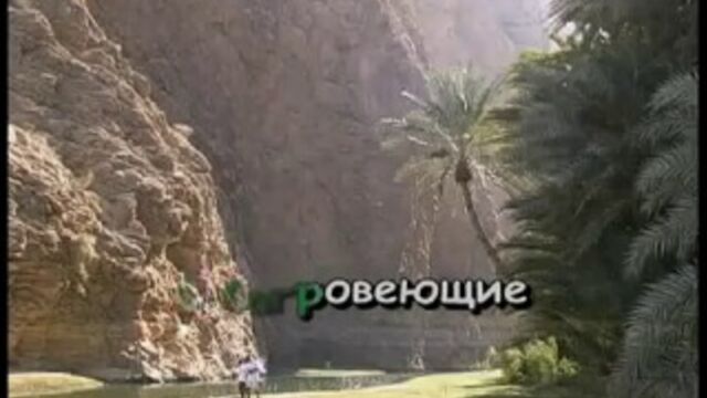 HD порно 108244