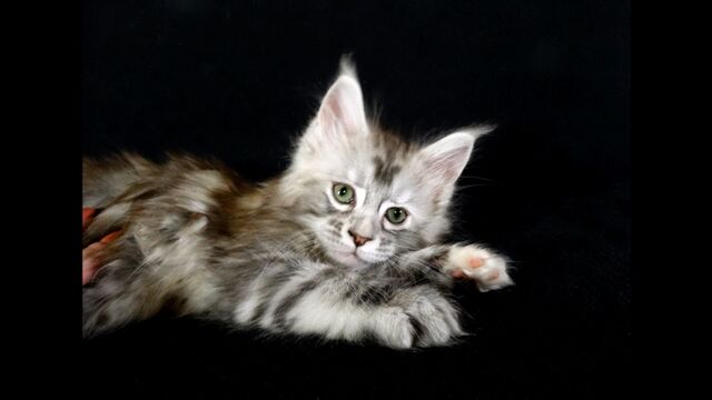 HD порно 190377