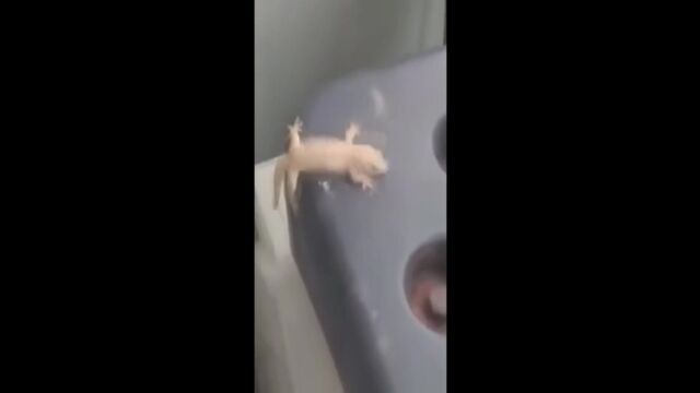 HD порно 175467