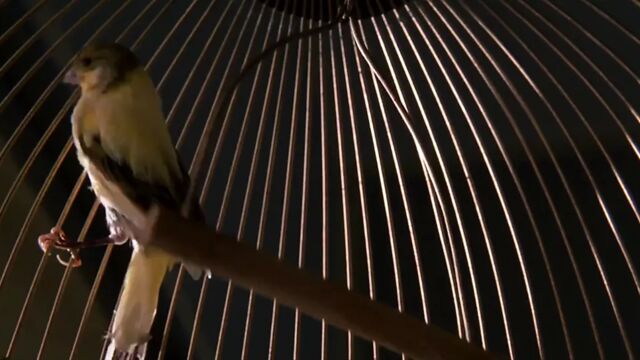 HD порно 155056