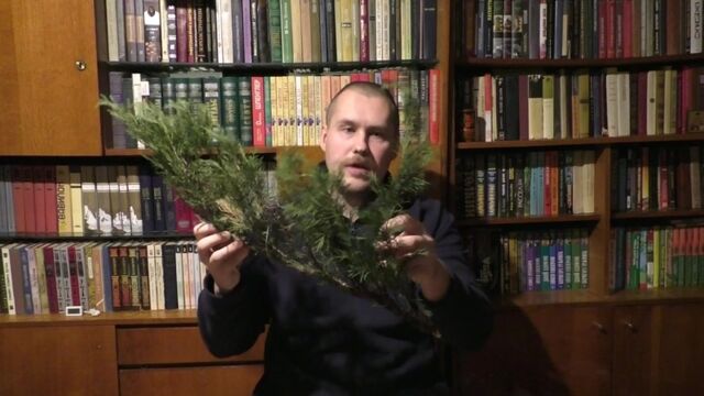 HD порно 132576