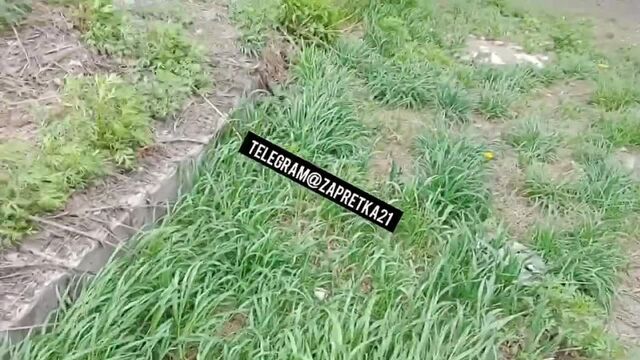 HD порно 144736