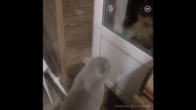 HD порно 139202