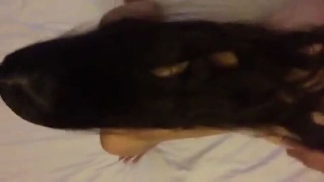 HD порно 222021