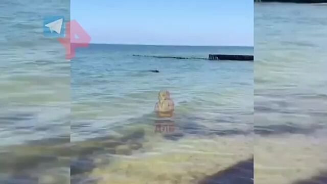 HD порно 132580