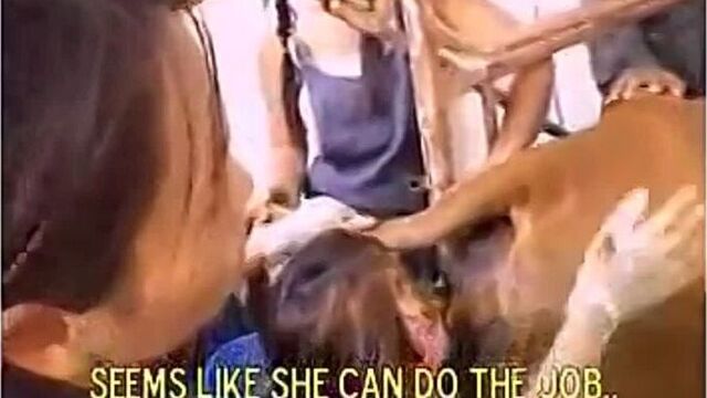 HD порно 221530