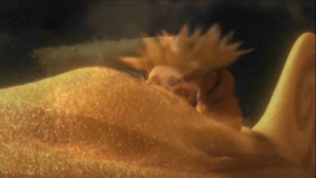 HD порно 166027