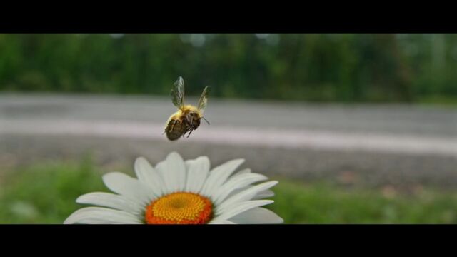 HD порно 186376