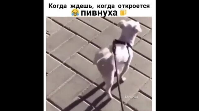 HD порно 118186