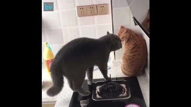 HD порно 159023