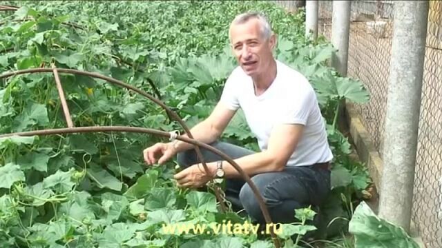 HD порно 122942