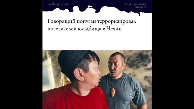 HD порно 141582